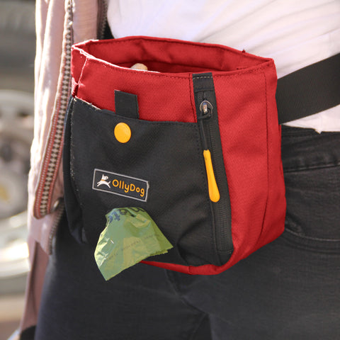 Close up view of a woman wearing the Backcountry Day Bag by OllyDog around her waist (Fiesta color)