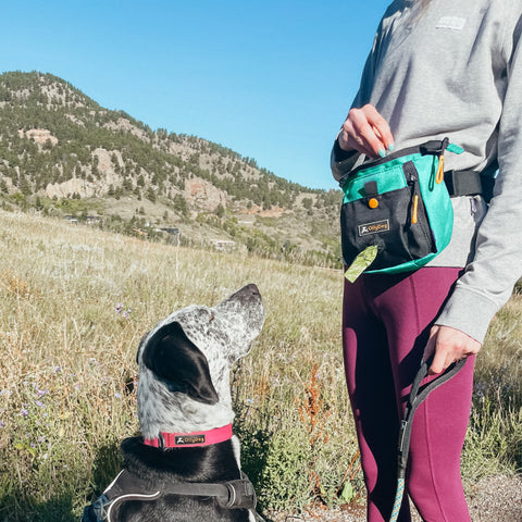 A woman reaches into OllyDog's Backcountry Day Bag while her dog waits patiently for a treat