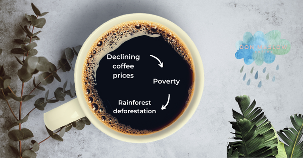 coffee-that-protects-the-rainforest