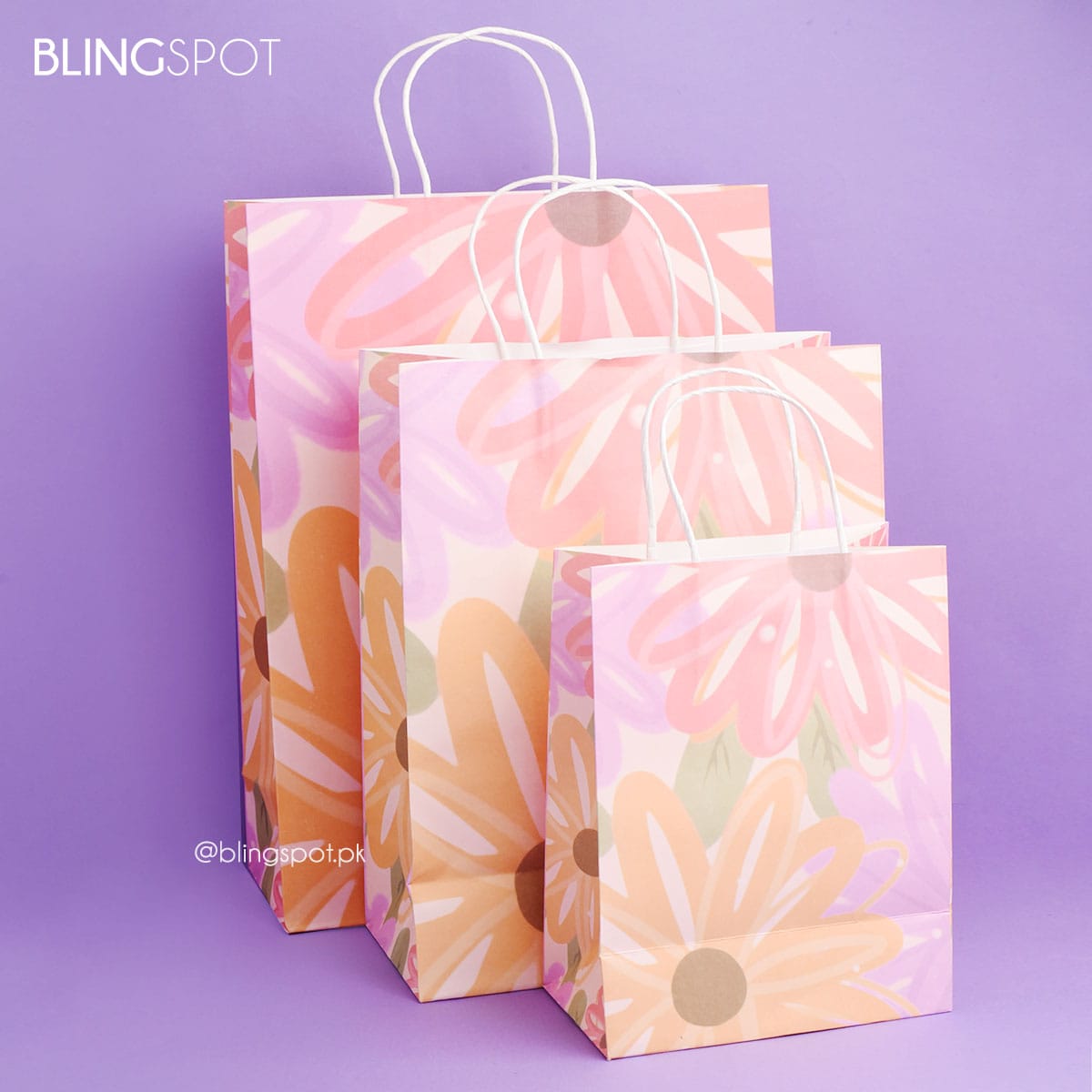 Gift Bags – Buy Paper Gift Bags Online at Best Price in India