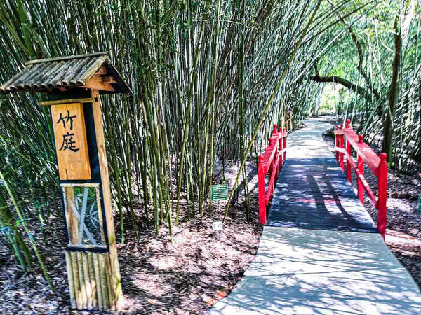 A red bridge marks the entrance to the Chinese bamboo garden at Kanapaha Gardens