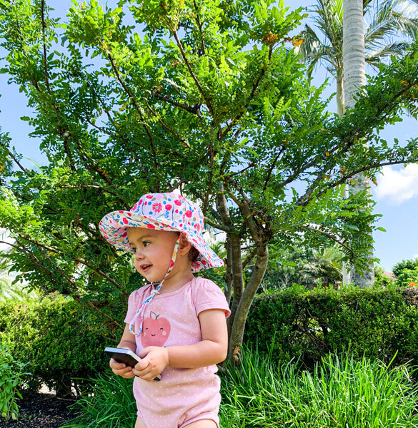 Frankincense (Boswellia) tree