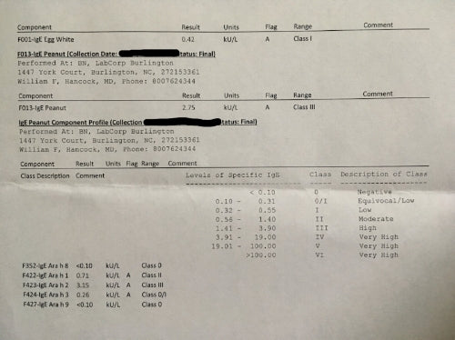 IgE Blood Test Food Allergy Test Results Lil Mixins www.lilmixins.com