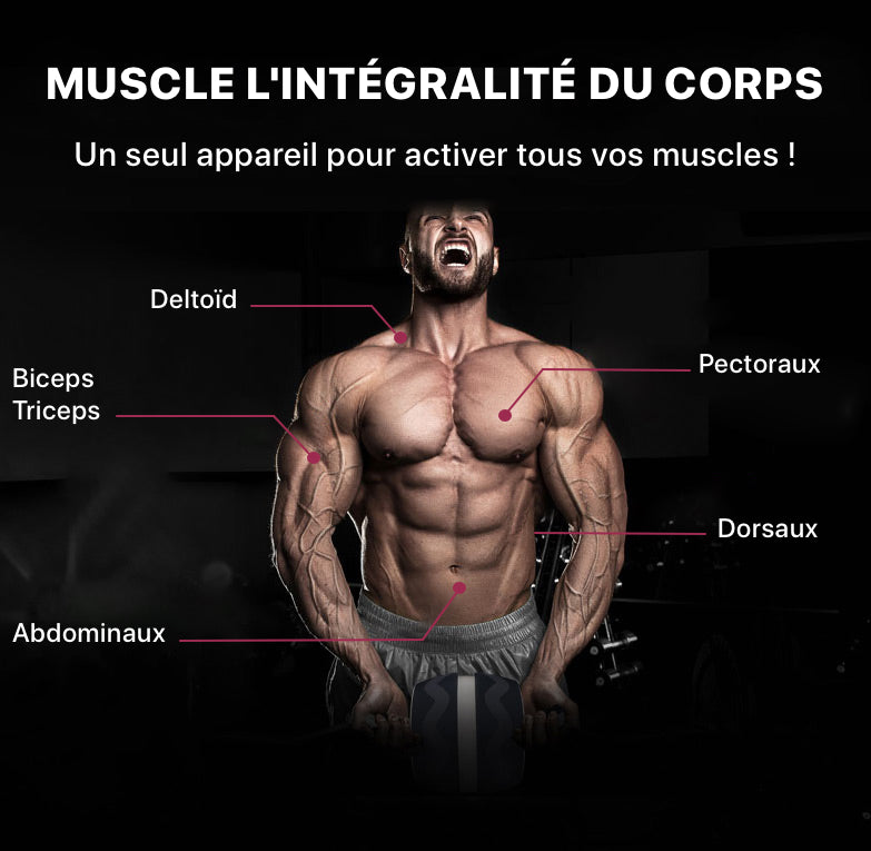 Roue abdominale professionnelle de musculation AB.RAPTOR