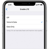 Apple LTE Voice and Data