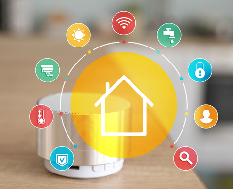 AI and IoT Smart Home