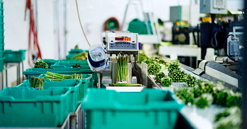 Garantizar la seguridad de los alimentos: del campo a la mesa