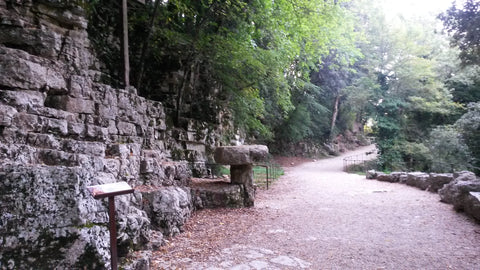 Paths wind through the forest at The Hermitage in Assisi