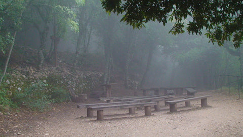 Eremo della Carceri hermitage has many sacred spaces to sit and pray, Monte Subasio, Italy.