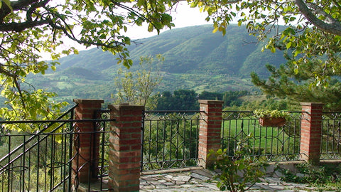 Monte Subasio from our house in Paradiso, Umbria, Italy.