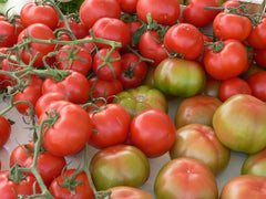 Vine ripened tomatoes