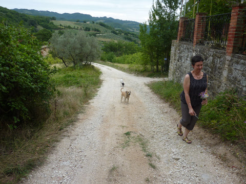 Marg trudges up the steep track beside Eremo Paradiso in Umbria