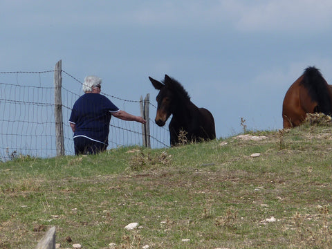 Jan pats a donkey on Mt Subasio, Umbria.