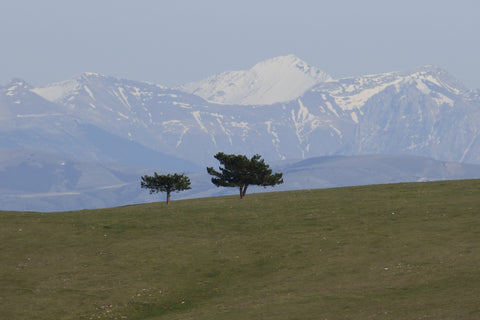 Snow on distant alp in the Appenine mountains from Monte Subasio, Umbria.