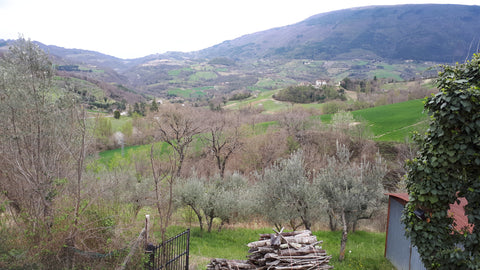 Monte Subasio from Paradiso in Spring, Umbria.