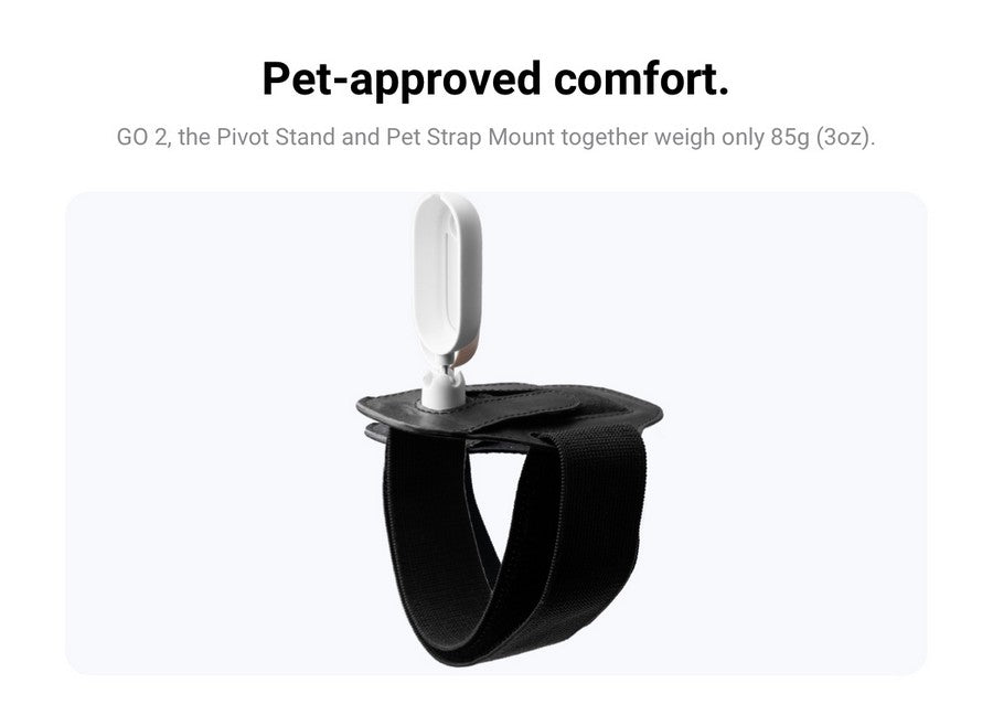 insta360 go 2 Pet Strap Mount 寵物背帶 comfortable