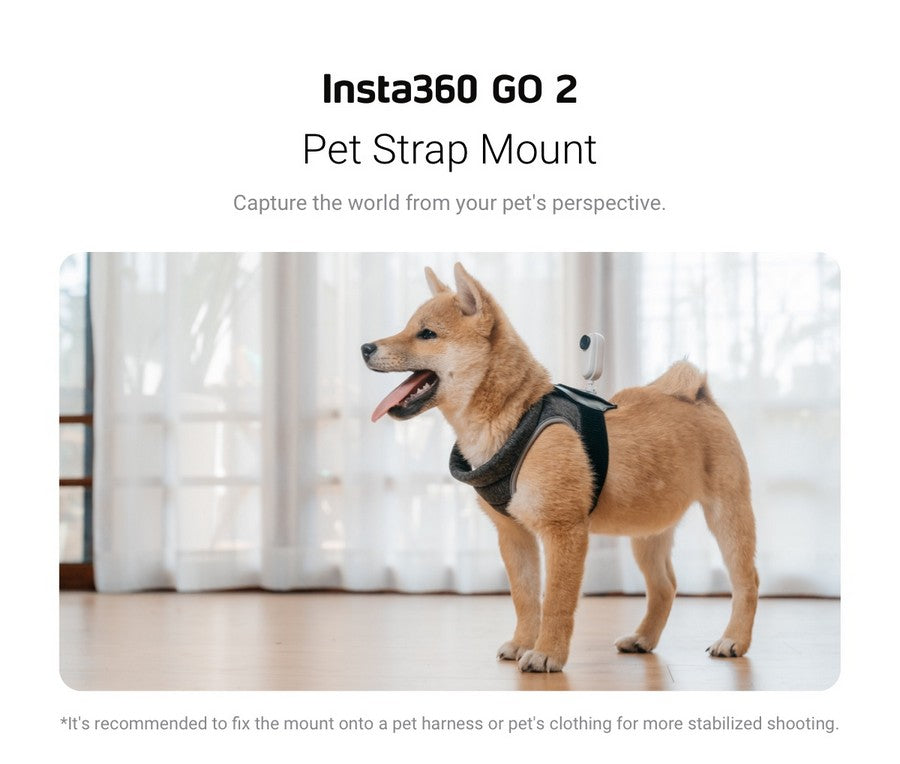 insta360 go 2 Pet Strap Mount 寵物背帶 view