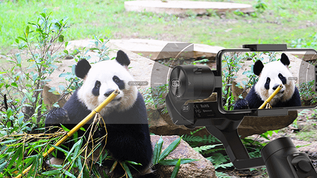 Moza-MINI-MI-WINE-Charging-Gimball-Camera-Stabilizer-Charging-Full-SPOR-MODE-ZOOM-FOCUS-CONTROL- APP-FUNCTION-PANDA