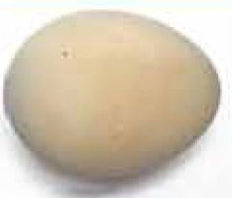 Pale-shelled Eggs