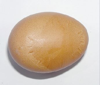 Slab-sided Eggs