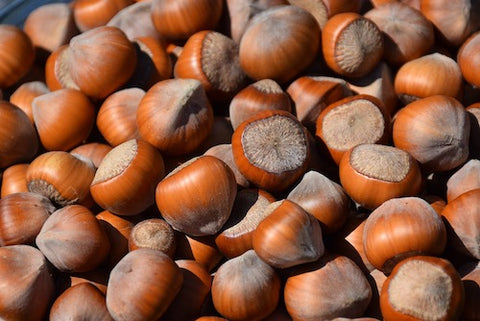 Large quantity of hazelnuts