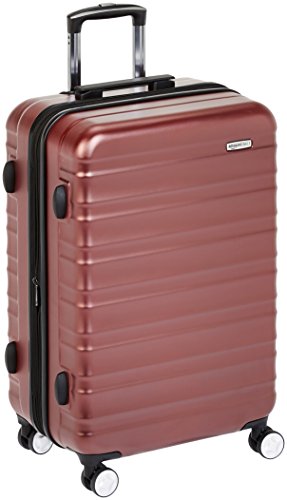 amazonbasics spinner luggage