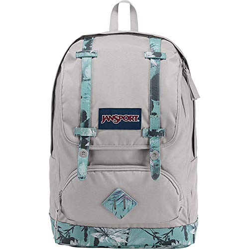 jansport cortlandt backpack