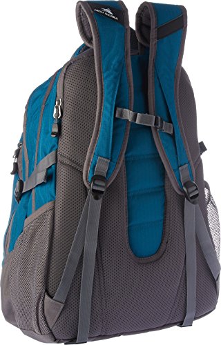 high sierra access 2.0 laptop backpack