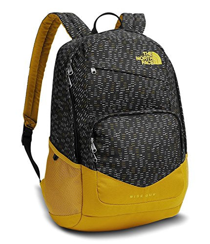 the north face wise guy backpack