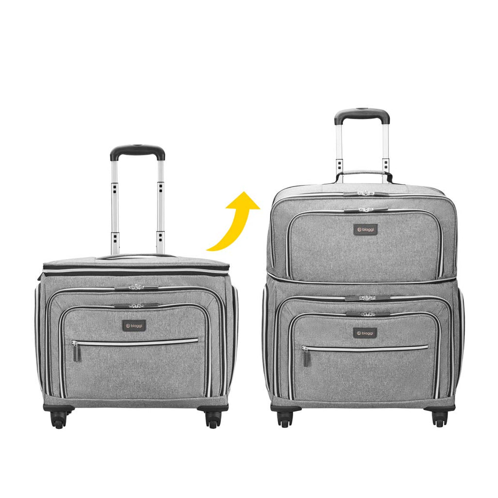 biaggi luggage in stores