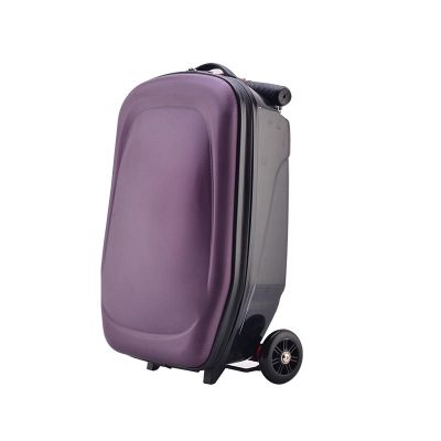 Rolling Skateboard Trolley Luggage Bag,Travel Suitcase Case With