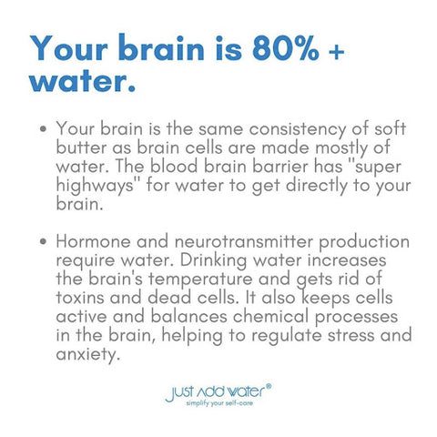 Water and brain health