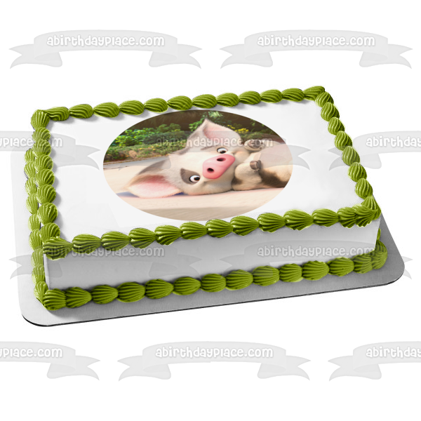 Disney Moana Pua The Pig Edible Cake Topper Image Abpid A Birthday Place