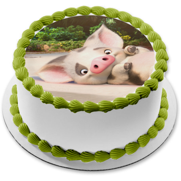 Disney Moana Pua The Pig Edible Cake Topper Image Abpid A Birthday Place