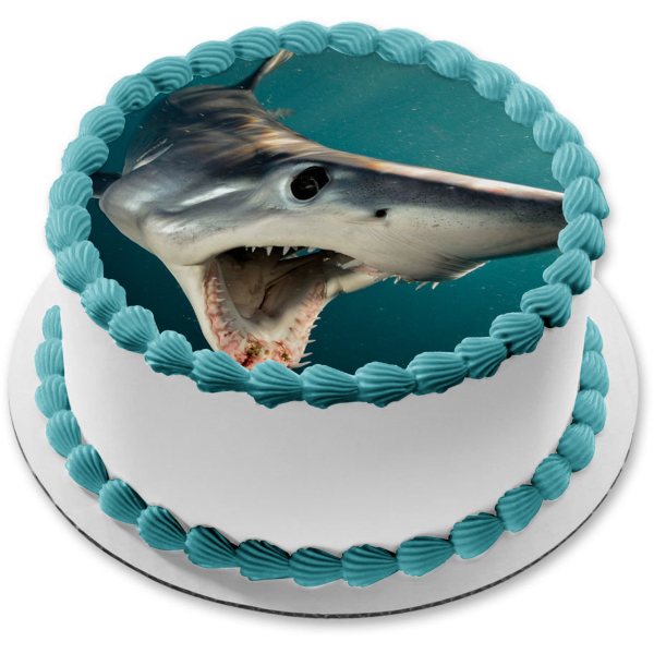 shark cake topper