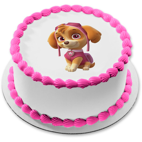 Paw Patrol – A Birthday Place