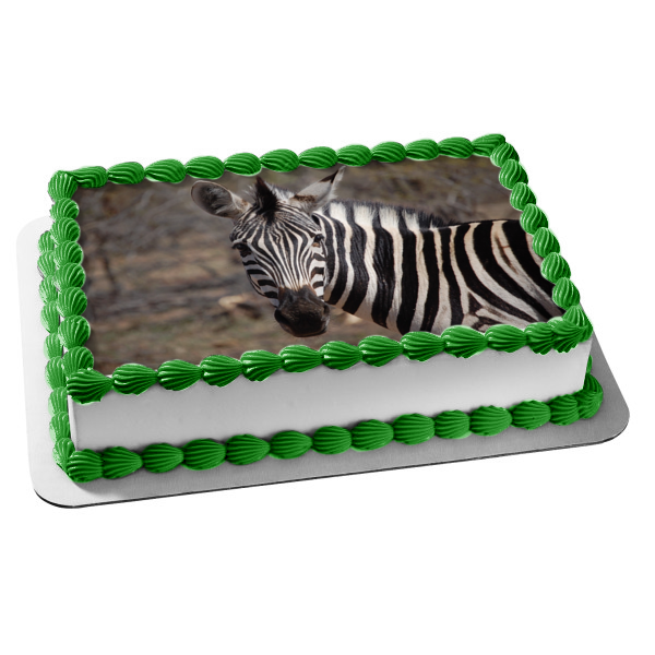 zebra shaped cake