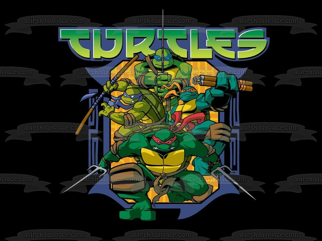 Teenage Mutant Ninja Turtles Donatello Michaelangelo Leonardo Raphael A Birthday Place