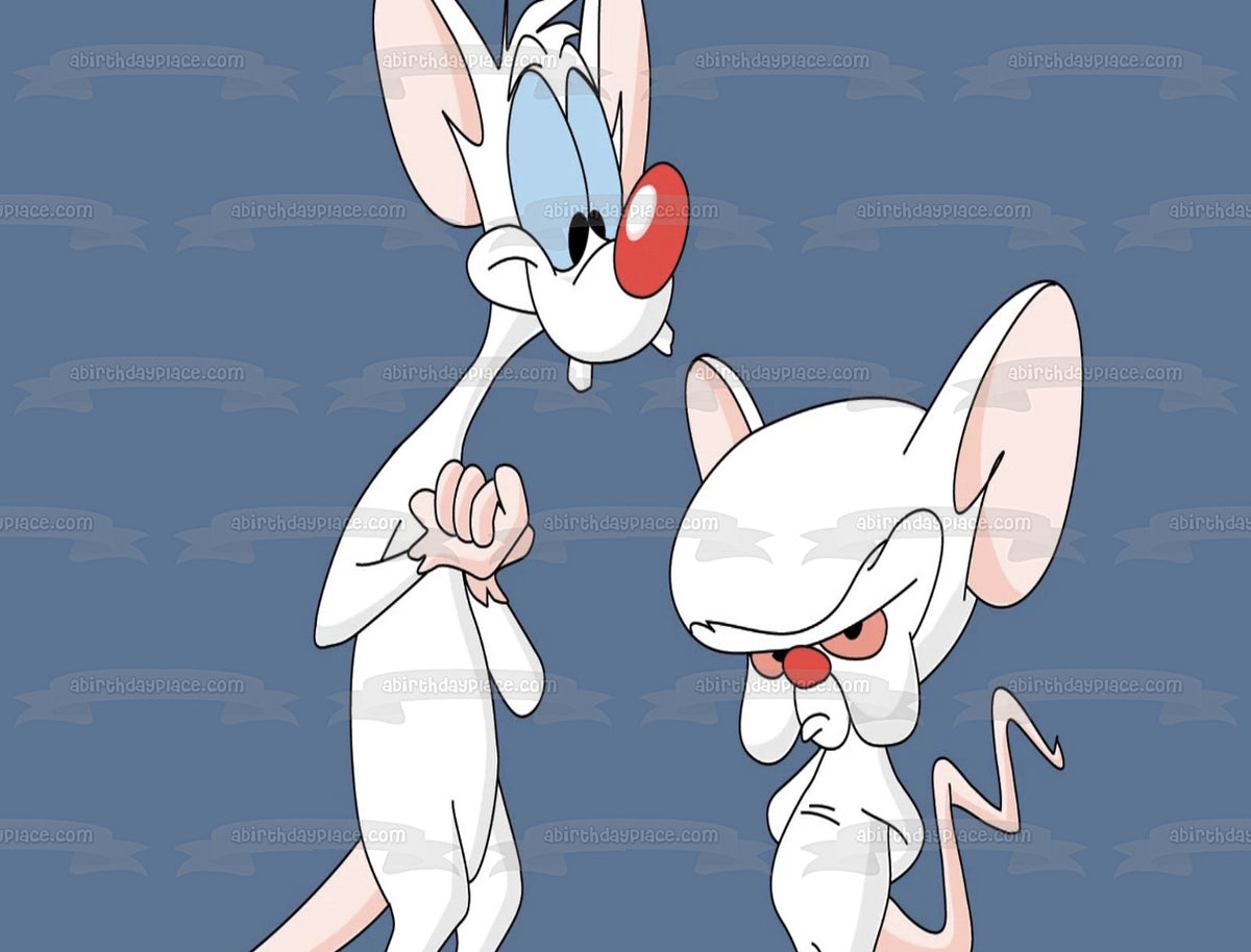 Pinky And The Brain Blue Background Edible Cake Topper