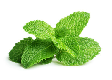 What Can Menthol Do For Your Skin?  Ingredients Skincare Benefits –  Georgette Klinger