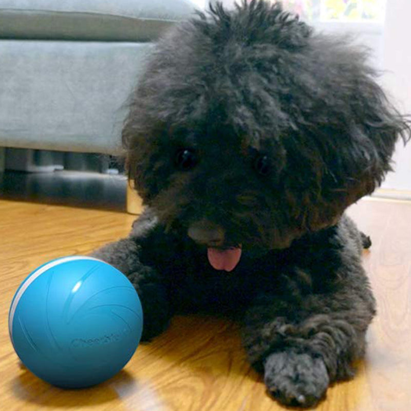 wicked ball dog toy
