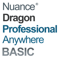 dragon naturallyspeaking 12 basics