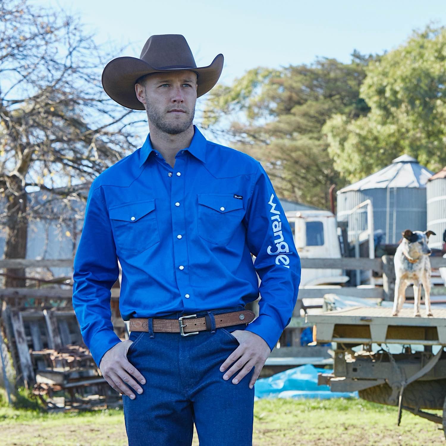 Buy Buy Wrangler Mens Logo Rodeo Shirt, Cobalt - XCP1116020 - The Stable  Door