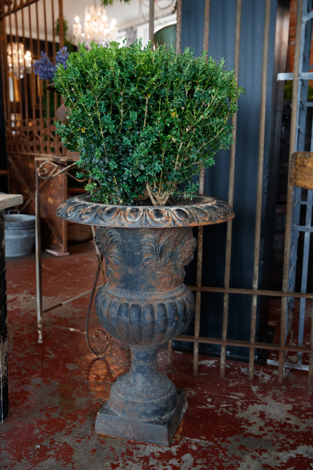 French Cast Iron Garden Urns – French & Sons