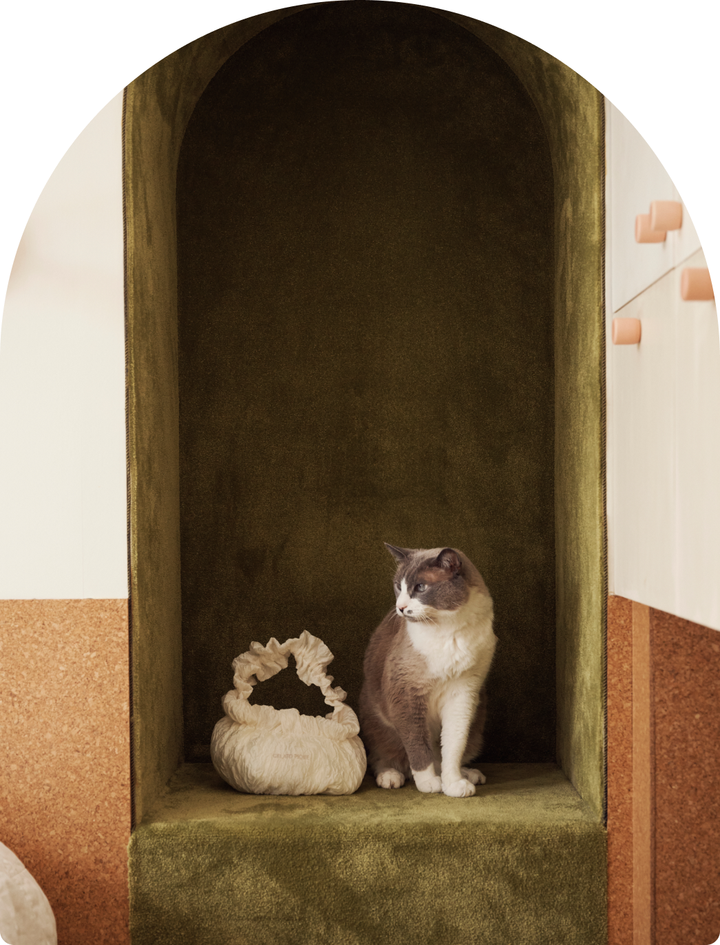 model06.png__PID:4199ae3e-d698-4e12-b768-0365fbea7ed2