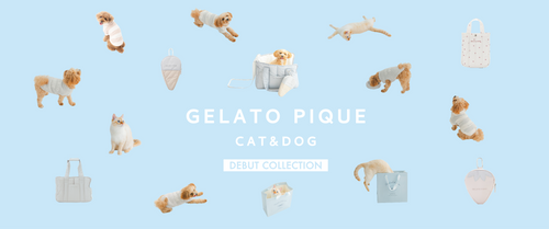 GELATO PIQUE CAT&DOG