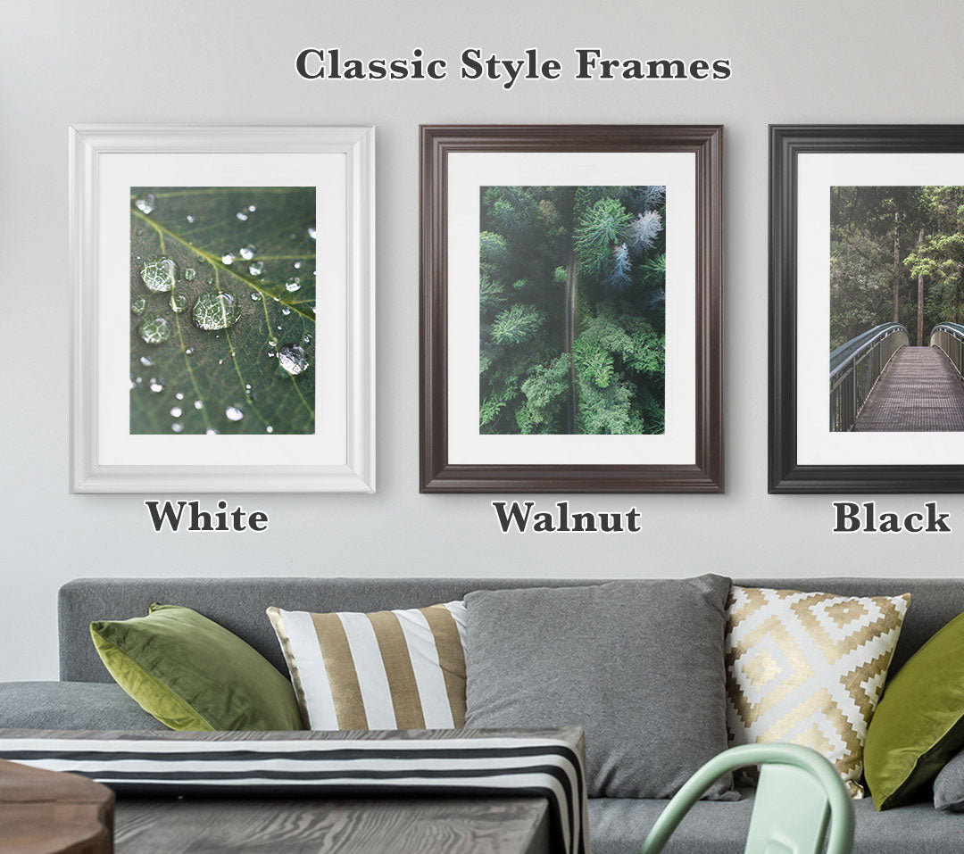 3 Classic Styles Frames