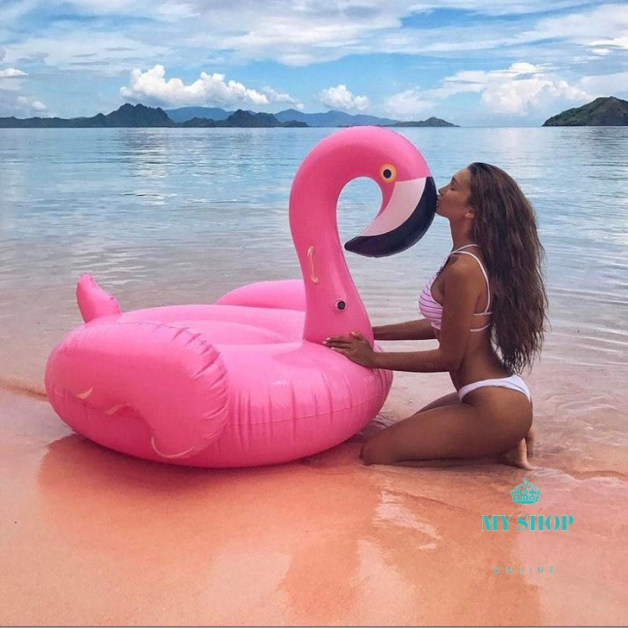 giant blow up flamingo