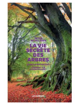 La vie secrète des arbres : le livre à offrir à tous les amoureux de la nature. 