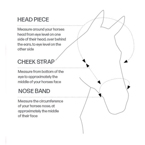 Size Guide Hy Equestrian Head Collar